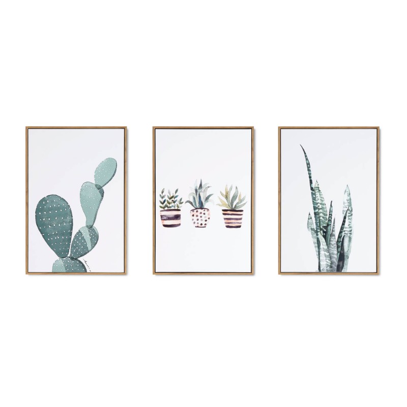 Collage Cactus 