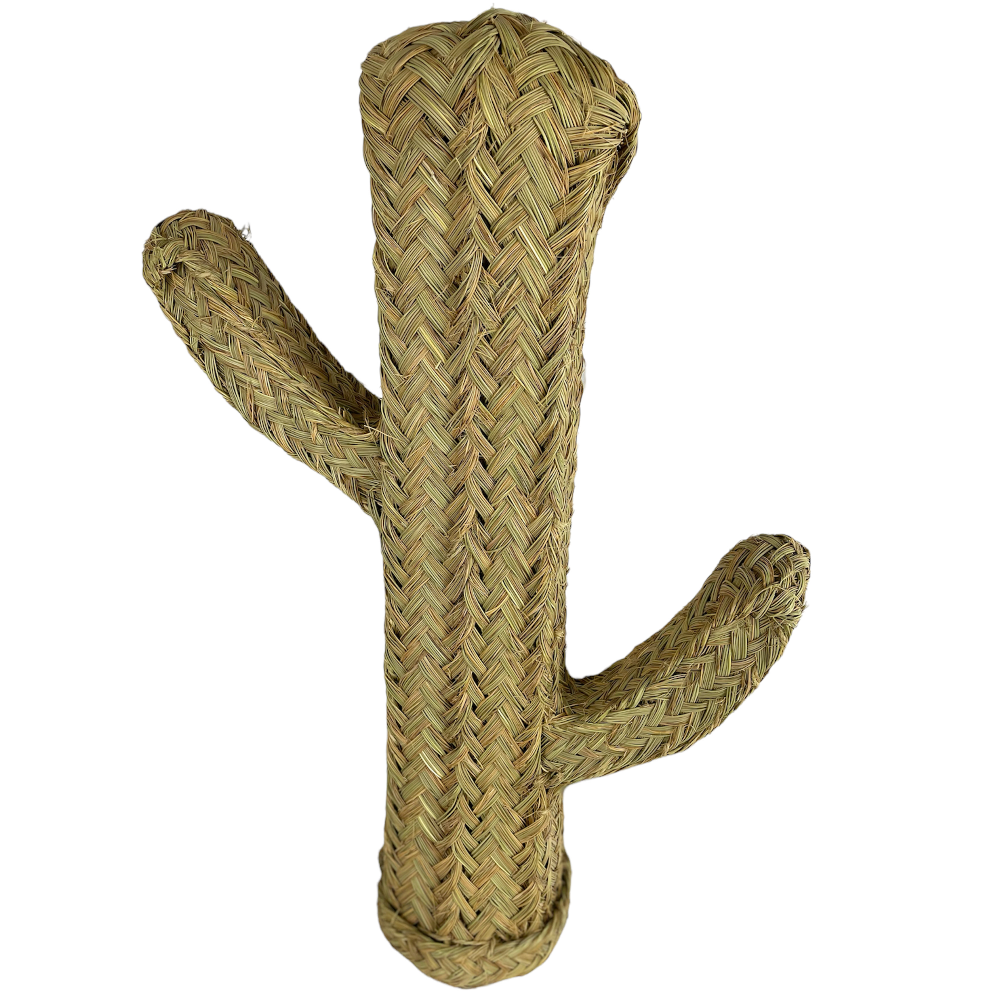 33050-cactus-decorativo-fibra-natural.jpeg