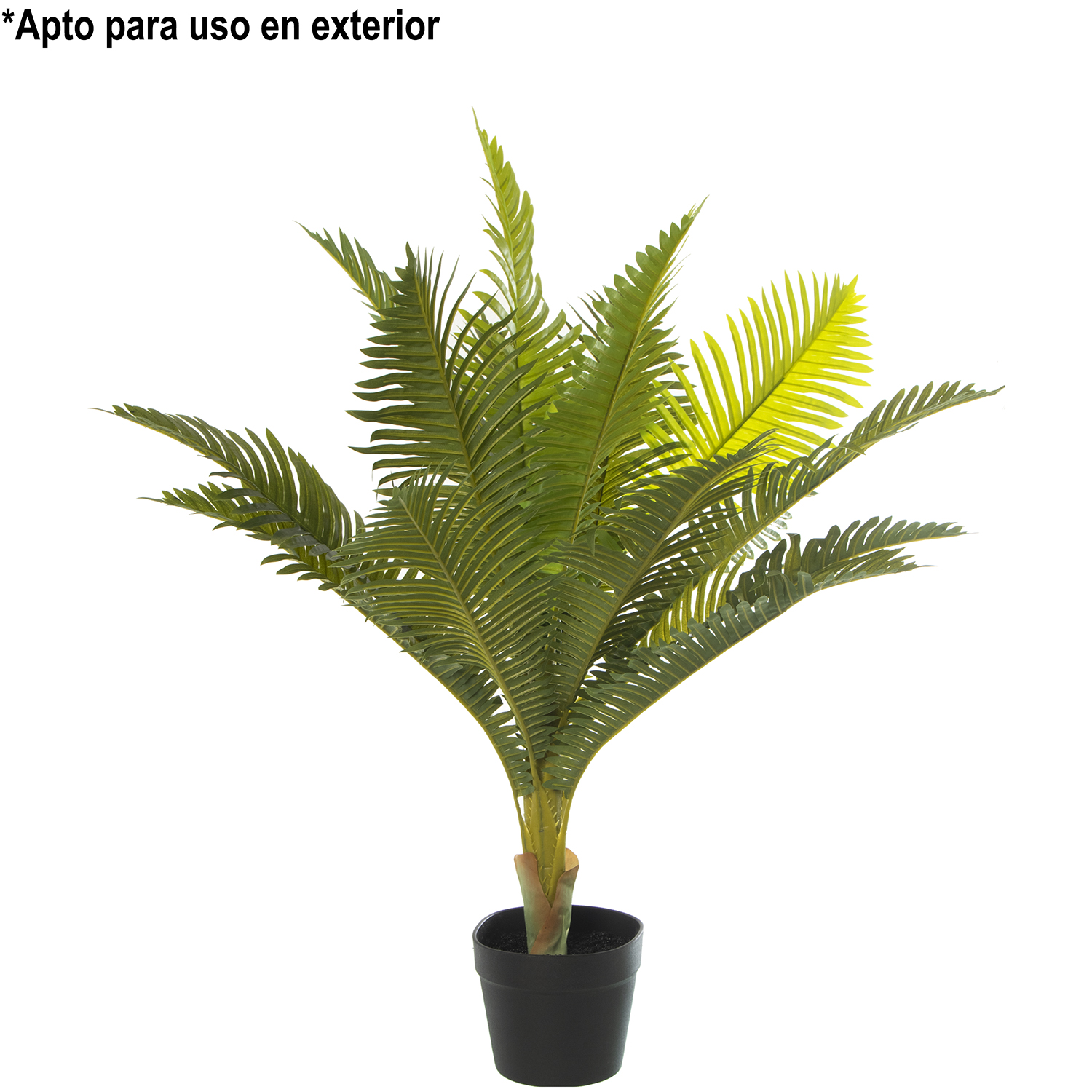 33983-planta-artificial-palmera-80-cm.gif